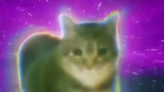 OIIAOIIA EXTENDED 12 hours