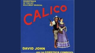 Shotgun Wedding Song - David John and the Comstock Cowboys