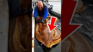 Unbelievable Rare Photos That Will Leave You Speechless.