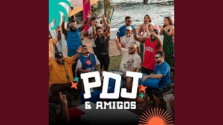 Moleque Atrevido / Cavaquinho Do Salgueiro / Gama&ccedil;&atilde;o Danada (Ao Vivo) - PDJ