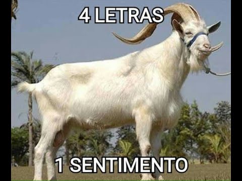 Cê Loko Num Compensa Warzone 3 0 S6 Youtube