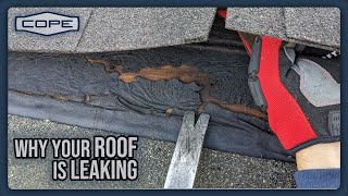 Why is my roof leaking?! - Common Roofing Problems