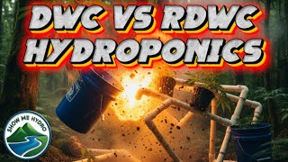 DWC vs RDWC Hydroponics