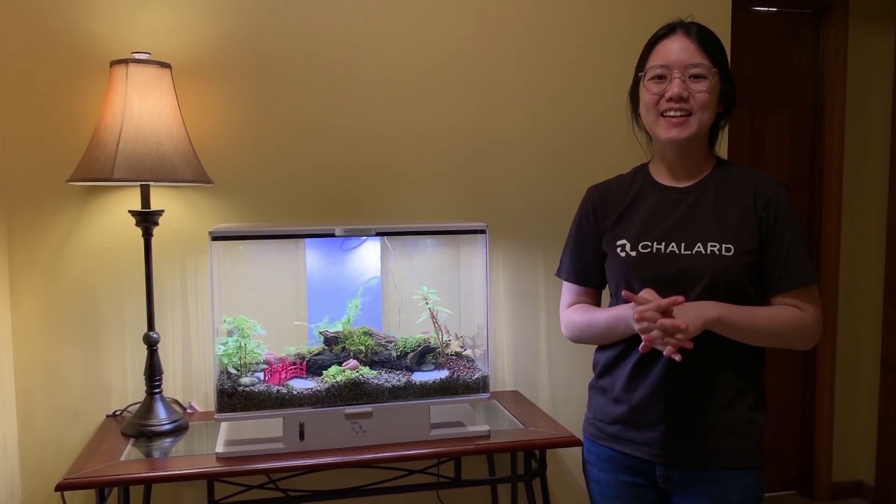 Prototype Testing With Smartterra App Youtube - Gorgeous 8K Abstract Backgrounds | Free Download