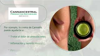 Crema de Cannabis y sus beneficios | Cannancestral M&eacute;xico