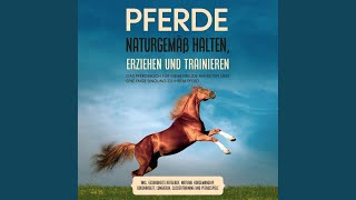 Kapitel 13.4 - Pferde verstehen | Bodenarbeit | Natural Horsemanship - Das gro&szlig;e 3 in 1 Buch: Wie Sie Ihr Pferd optimal halten, pf - Mareike Friese