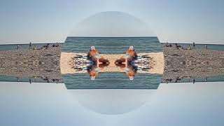 Magic beach 🏖️ life with Peter Gabriel's "Sledgehammer" in cover's by Harry Styles and band