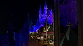 Cinderella‘s Castle Was On Fire!!!