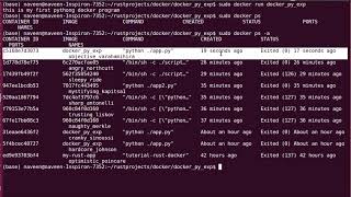 Stream how to run python programs in docker Online