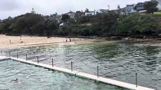 Yellow Flowers at the Clovelly Beach Sydney - Free Footage