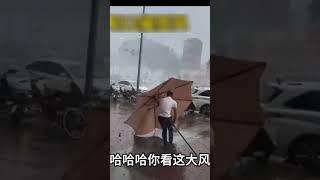 China Storm Today | Level 12 Winds Hit Henan, Trees Collapse & People Knocked Down