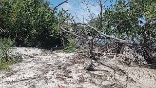 Being silly with Slater on an isolated island in Gasparilla. April 2026 #islands #dogs #kayaking