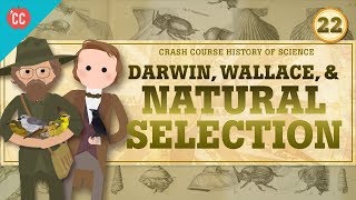 Stream Darwin and Natural Selection: Crash Course History of Science #22 Online