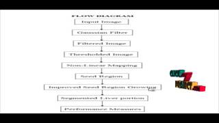 The study and application of the improved region growing algorithm for liver segmentation