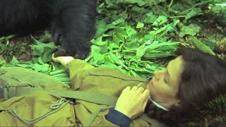 ~  Gorillas in the mist ~ Sigourney Weaver
