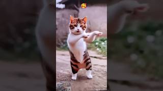 Lazy Lad💞#viralvideo💃Lazy Lad Trending dance video#viralreels #dance#cat#trendingshorts🥰Manas Basera