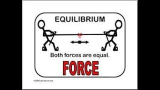 What is the definition of equilibrium in science?