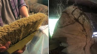 removing &ldquo;big time&rdquo; COBWEBS &ldquo;without&rdquo; getting your broom dirty
