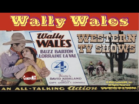 Trailer Walley Youtube - Premium 8K Landscape Pictures | Free Download