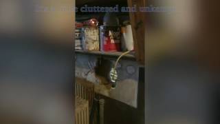 Cast Iron Pipe Repair and Water Facility Replacement