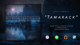 Tamarack - Olympus Lenticular