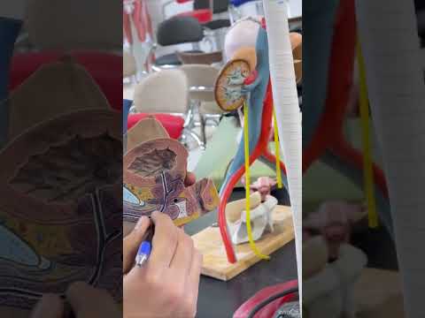 Urinary Youtube - Premium City Photo - Mobile