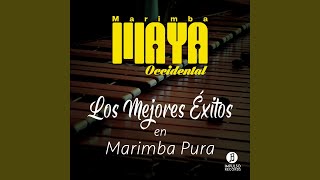 Mix de Cumbias / Julia / Nostalgias Campesinas / El Negro Jos&eacute; - Marimba Maya Occidental