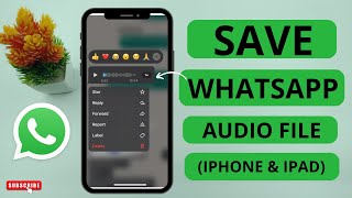 How to Save Audio Files from WhatsApp in iPhone (2024)