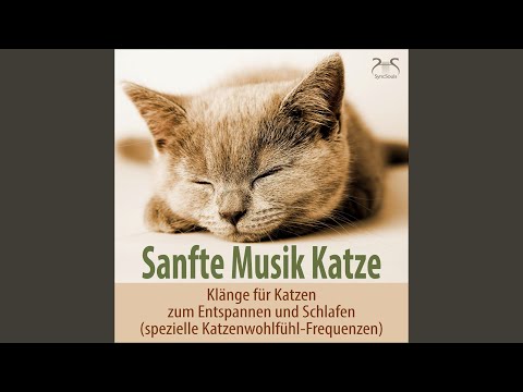 Beruhigende Musik f&uuml;r meine Katze: Wiegenlied und sanftes Ofen Umluft Ger&auml;usch (keine tliefen...