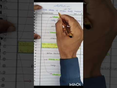 Biophysics Youtube - Colorful Pictures - Beautiful High Resolution Collection