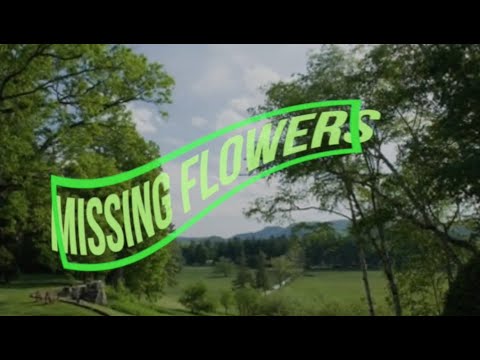 Missing Flowers.    Christopher Young