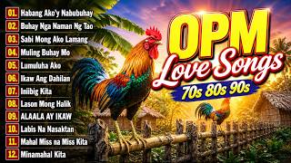 Best OPM Love Songs Collection 70s 80s 90s 🌹 Nonstop Pinoy Medley | Best Lumang Tugtugin