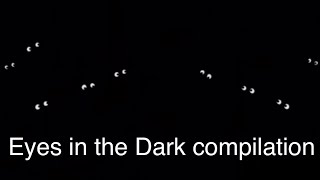 Eyes in the Dark Compilation