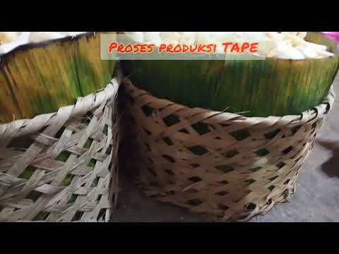 PRODUKSI TAPE TRADISIONAL | Desa Poler BONDOWOSO