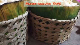 PRODUKSI TAPE TRADISIONAL | Desa Poler BONDOWOSO
