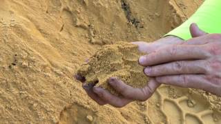 yellow brickie sand