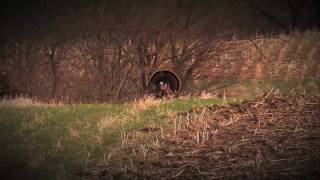 Squealing Hen Call