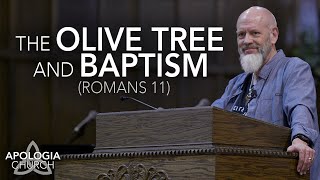 Sermon: The Olive Tree And Baptism