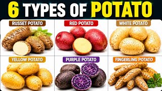 The REAL Story Behind the Different Potato Varieties