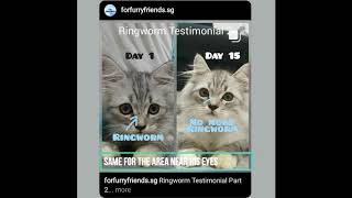 For Furry Friends' Testimonials and Reviews