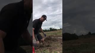 How to dig up and split a peony