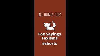 Fox Sayings | Foxisms #Shorts