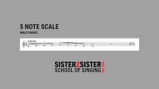 5 Note Scale Male Vocal Exercise - Sister2Sister School of Singing