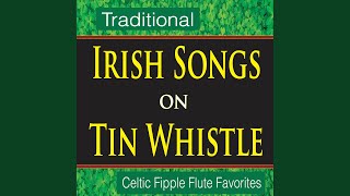 Molly Malone (on Irish Whistle) - John Story
