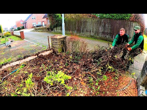 Pickle New Yard Youtube - Best Landscape Backgrounds in Retina