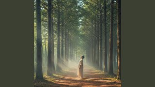 편백나무 사이로 (Between the Cypress Trees) ver2