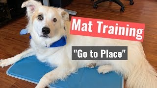 How to Train Your Dog to "Go to Place"-Mat Training