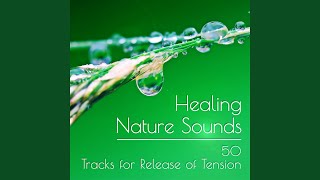 Deeper States Essential Self Meditation - Meditation Music Zone