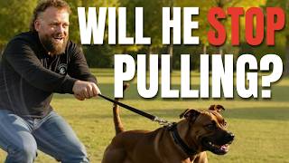The FASTEST Way to Fix Leash Pulling for Good