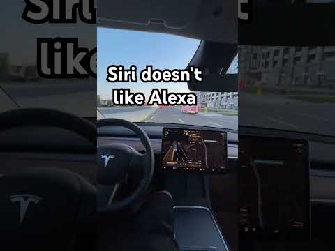 Siri Doesn T Like Alexa Funny Comedy Siri Alexa Echo Apple Amazon